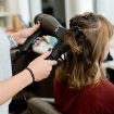 How Far Would You Travel To See Your Favorite Hair Stylist (2)